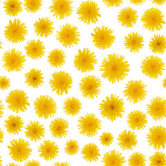 seamless pattern with yellow dandelions