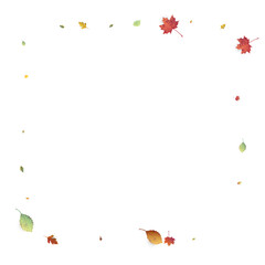 Leaves Falling Autumn Foliage Chaotic Leaf Flying