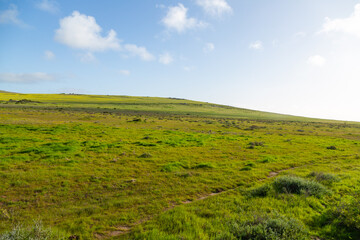 Landscape around the Town of Darling in the Western Cape of South Africa