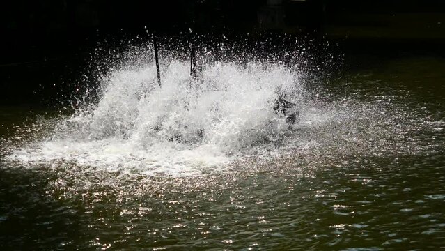 Group of water droplets splashed from the blow of the turbine with black background, Paddle wheel hitting green water surface to add oxygen