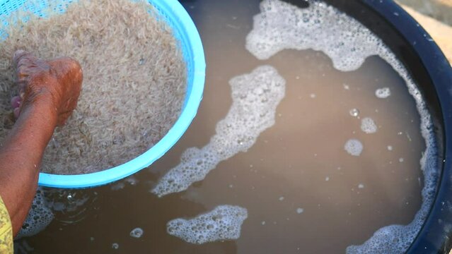 The fishermen wash and filter group of fresh Krill or Opossum shrimp with clean water, Plankton that fishermen trap for cooking in Thailand