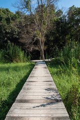 Wooden boardwalk leading through plitvice lakes park in chiangmai thailand
