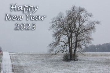 Happy New Year 2023 - Solitary Tree in Winter on a cloudy day in germany