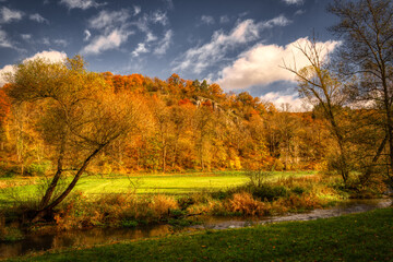 Fototapeta premium autumn in the forest