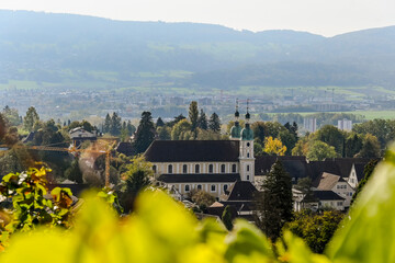 Arlesheim, Dom, Weinberg, Birstal, Birsebene, Dorf, Aesch, Pfeffingen, Herbst, Herbstfarben,...