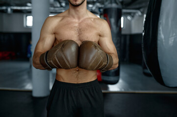 Fototapeta na wymiar Cropped portrait of male boxer posing in boxing gloves