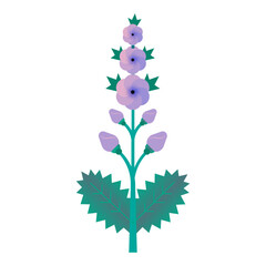 Larkspur flower vector illustration in geometric shape design