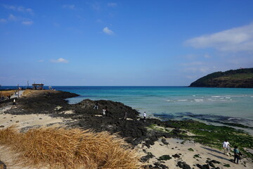 fine seascape with seaside gazebo