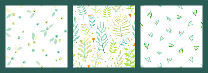 Set of green herbs seamless pattern. Leaves, wildflowers and berries. Vector illustration with different plants and branches on white background.