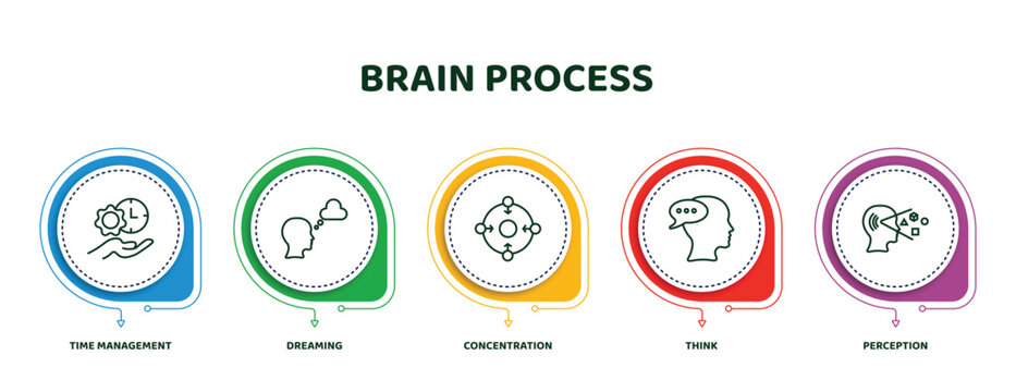 Editable Thin Line Icons With Infographic Template. Infographic For Brain Process Concept. Included Time Management, Dreaming, Concentration, Think, Perception Icons.