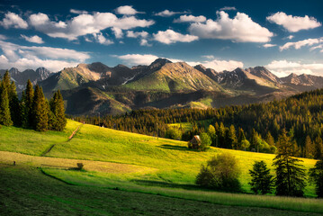 A panorama view of the Tatra Mountains in summer. Meadows, pastures, sunset, Poland. Widok na Tatry, góry, łąki, hale, lato, Poland, Podhale, polana szymkówka. © Arkadiusz