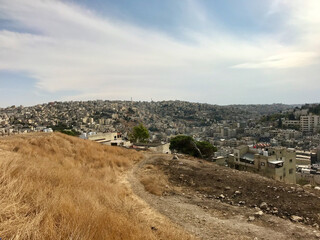 Amman, Jordan, November 2019 - A herd of sheep walking across a dry grass field