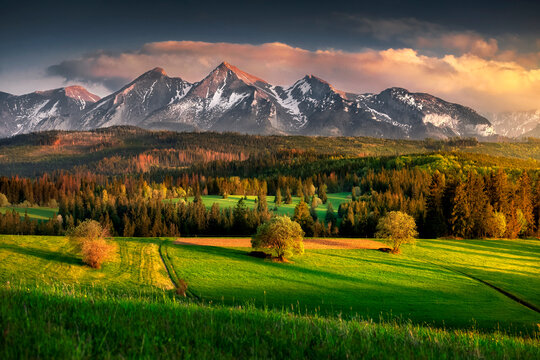 Fototapeta Tatra Mountains. View from the pass over Łapsznka. Mountains, meadows, fields, spring, Poland. Belianske Tatras. Tatry, Panorama. Widok z Przełęcz nad Łapsznką na góry, polska, spisz. 
