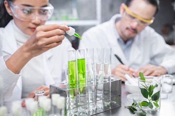 medicine chemical research with organic nature herbal plant in science laboratory, cosmetic extract liquid chemistry oil in glassware, leaf biology of beauty medicals care serum product experiment