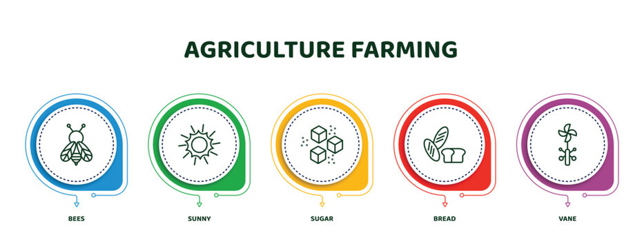 editable thin line icons with infographic template. infographic for agriculture farming concept. included bees, sunny, sugar, bread, vane icons.