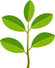 branches leaves