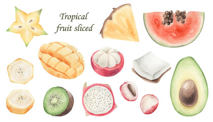 Watercolor set of tropical fruits. Watercolor halfs tropical fruit isolated.