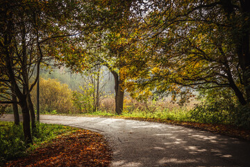 Jesienna droga oświetlona słońcem.  © fotozen