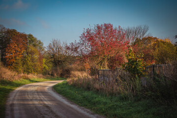 Jesienny krajobraz z wiejską drogą. 