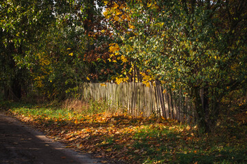 Drewniany plot w promieniach jesiennego słońca. © fotozen