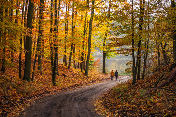 Leśna droga jesienią i dwóch spacerowiczów. 