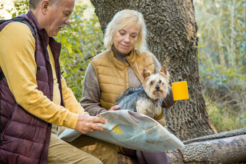 People drinking coffee while checking a route map in a forest