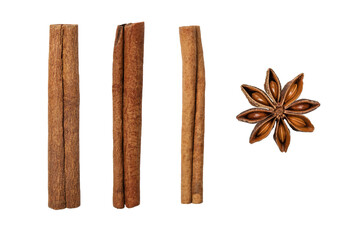 Anise star and cinnamon sticks isolated on white background. Anise star spice with seeds and cinnamon as an element for design.