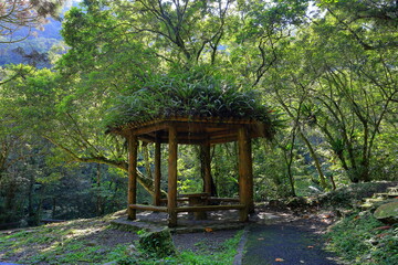  the Manyueyuan National Forest Recreation Area in New Taipei City, Taiwan