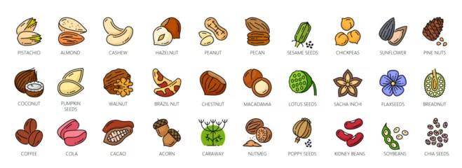 Fotobehang Nuts outline color icons, walnut, almond and cashew seeds, vector peanut and hazelnut. Nuts linear icons of pistachio, macadamia and pecan, food snack coconut, brazil nut and beans or sesame seeds © Vector Tradition