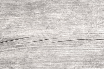 Obraz premium Natural material. Wooden texture. Light background. Rustic board surface with scratches and damages copy space for text logo.