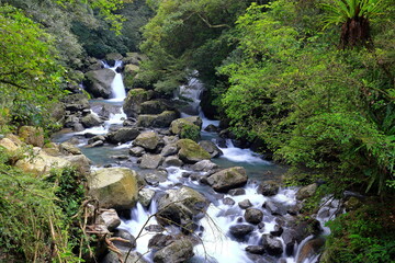  the Manyueyuan National Forest Recreation Area in New Taipei City, Taiwan