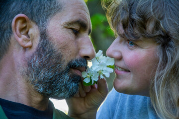 A couple in love, a girl and a gray-haired bearded man smells an apple tree flower.