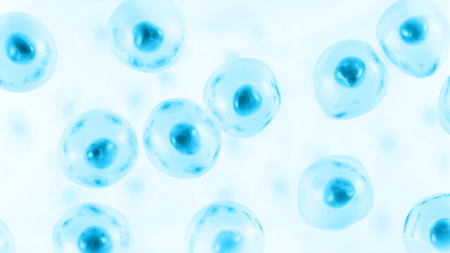Embryonic stem cell. Human cell. 3d illustration.