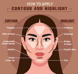 How to apply your contour and highlighter way infographic chart. Vector illustration with makeup and beauty tips. Face zones for contour or highlighter correction. Brown infographic chart.