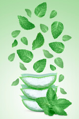 Pieces of aloe vera and levitating of mint leaves. © Olexandra