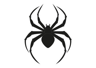 Black Spider Clipart. Arachnia. Illustration of black spider