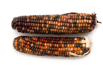 colorful cob corn