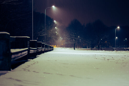 Quite Winter Evening In A Park During Winter Time