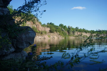 reflection of trees in the water