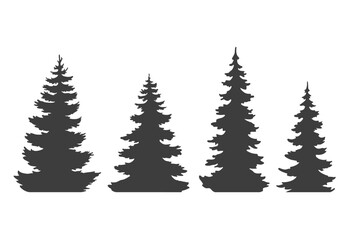 Forest tree silhouettes. Set of realistic pine trees