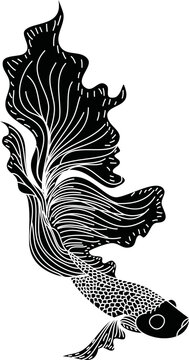 recommend clip art: Outline Betta fish vector.beautiful Fighting fish, Line art Hand drawing Siamese fighting fish