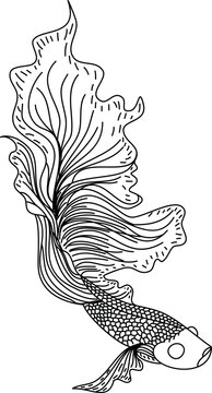 recommend clip art: Outline Betta fish vector.beautiful Fighting fish, Line art Hand drawing Siamese fighting fish