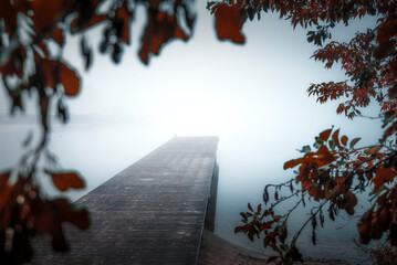 Jesień, mgła, jezioro i kolorowe liście. Klimatyczny, jesienny poranek w Krakowie, na Bagrach....