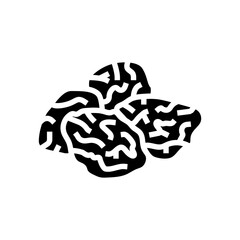 plum dried fruit glyph icon vector. plum dried fruit sign. isolated symbol illustration