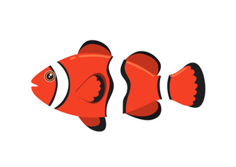 Cartoon orange fish in flat style. Vector illustration of sea fish isolated on white background