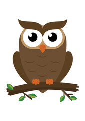 Cartoon owl isolated on white background. Vector illustration of cartoon Owl