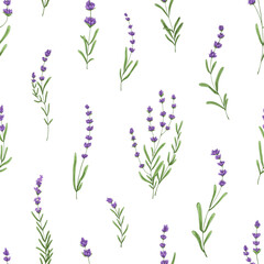 Fototapeta na wymiar Seamless floral pattern with purple lavender. Botanical background, French violet flowers repeating print. Blossomed herbs texture design with Provence lavanda blooms. Hand-drawn vector illustration