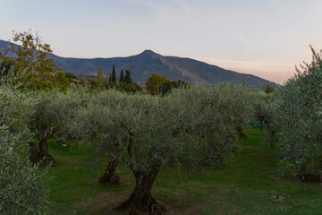 Beautiful autumn afternoon in Tuscany