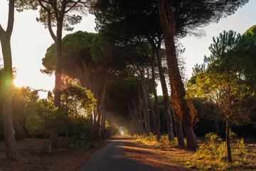 Beautiful autumn afternoon in Tuscany
