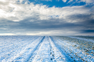 Fototapeta na wymiar Winter landscape, Jura in Poland